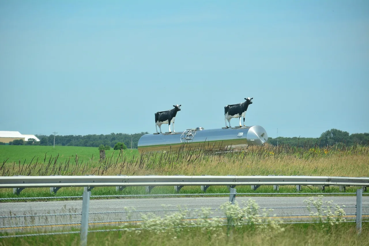 cows, cows on display, billboard, blue cow, billboard, billboard, billboard, billboard, billboard. Outdoor advertising tools compared by job for buyers, from audience data to feed delivery