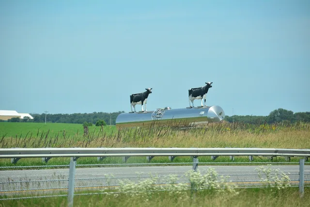 cows, cows on display, billboard, blue cow, billboard, billboard, billboard, billboard, billboard. Outdoor advertising tools compared by job for buyers, from audience data to feed delivery
