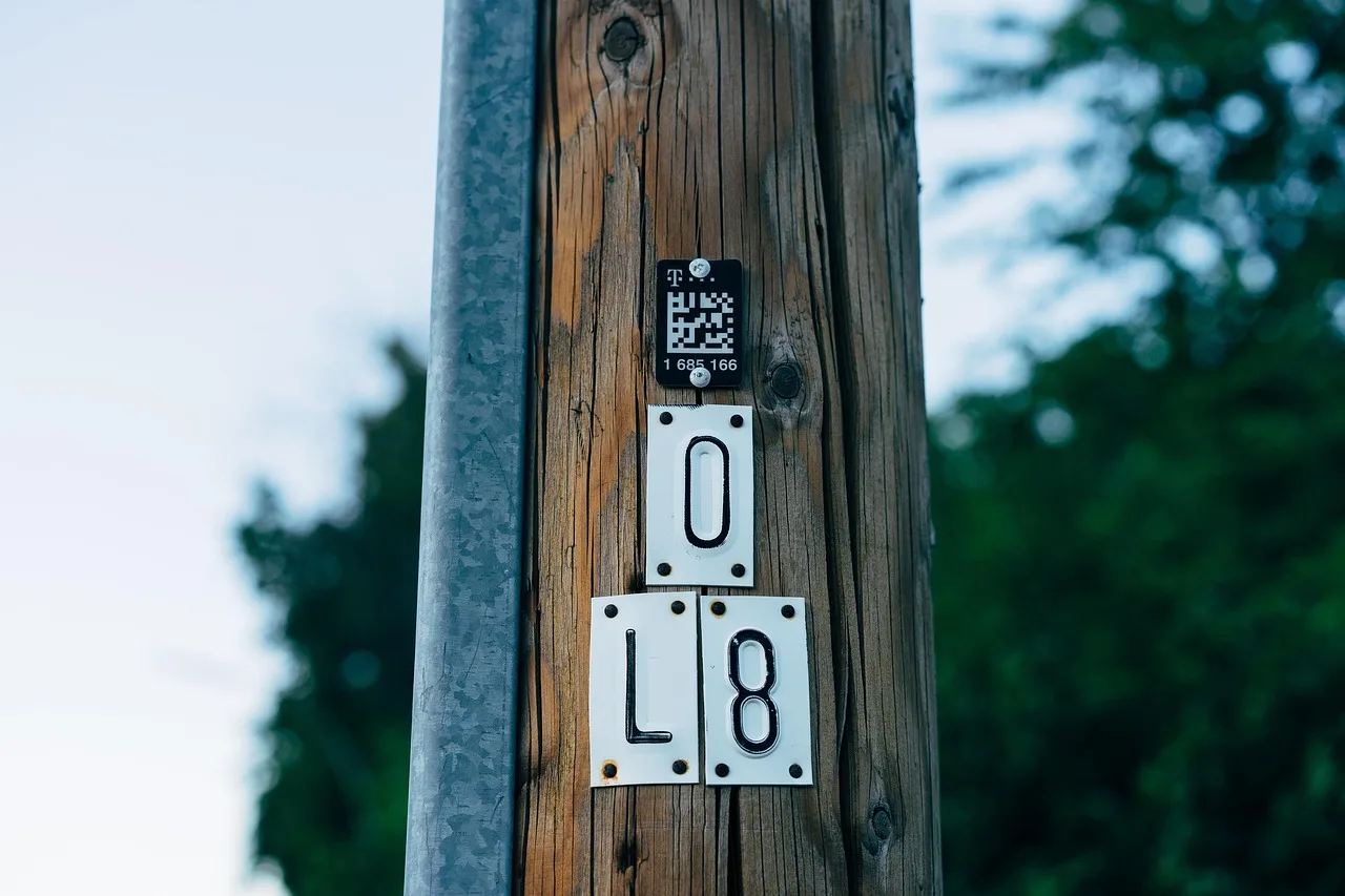 nature, wooden, qr code, botany, growth, qr code, qr code, qr code, qr code, qr code. Track QR codes on printed materials: scan metrics